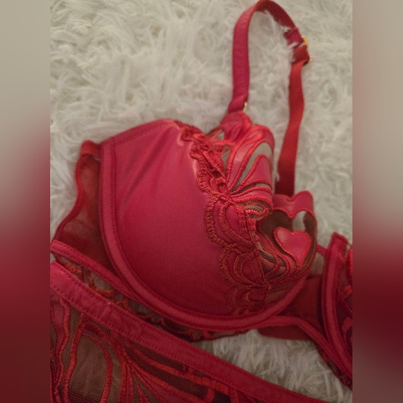 Honey Birdette Red Heart Set 38D - Picture 2 of 11
